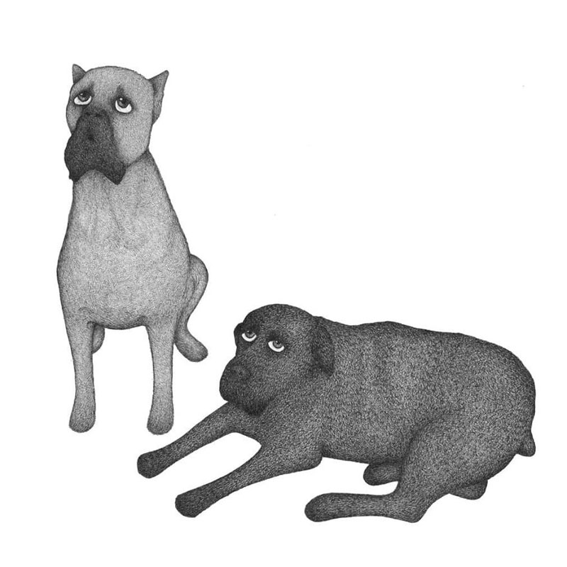 Графические животные художника Луис Коэльо