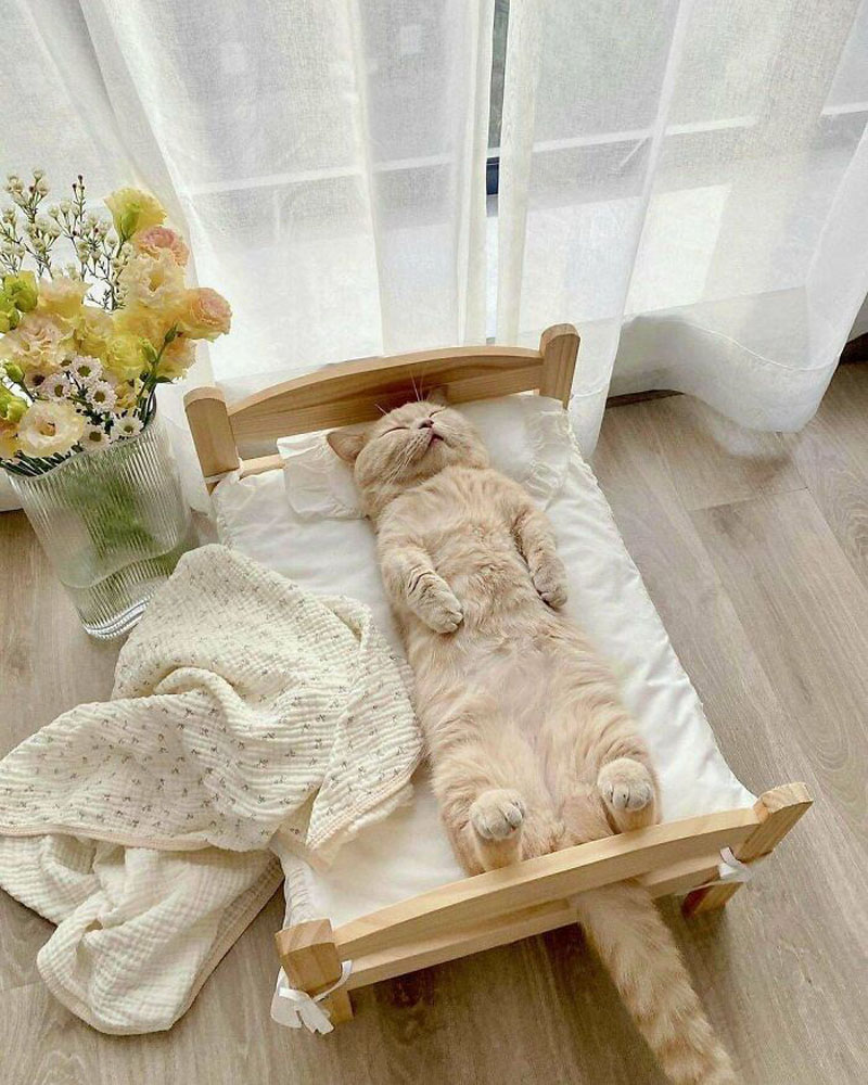Кровать для кошки
