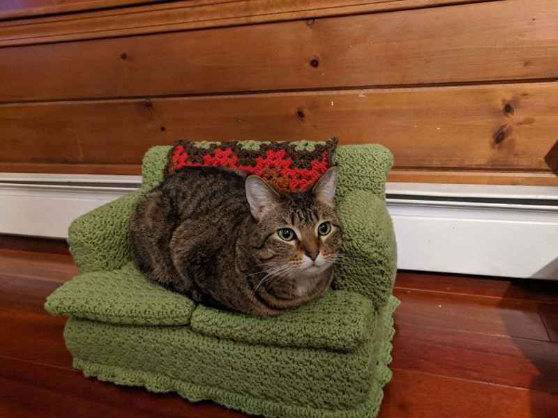 Вязаные диванчики для кошек